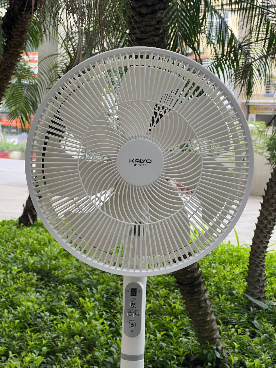 Quạt cây Kaiyo KSF-402