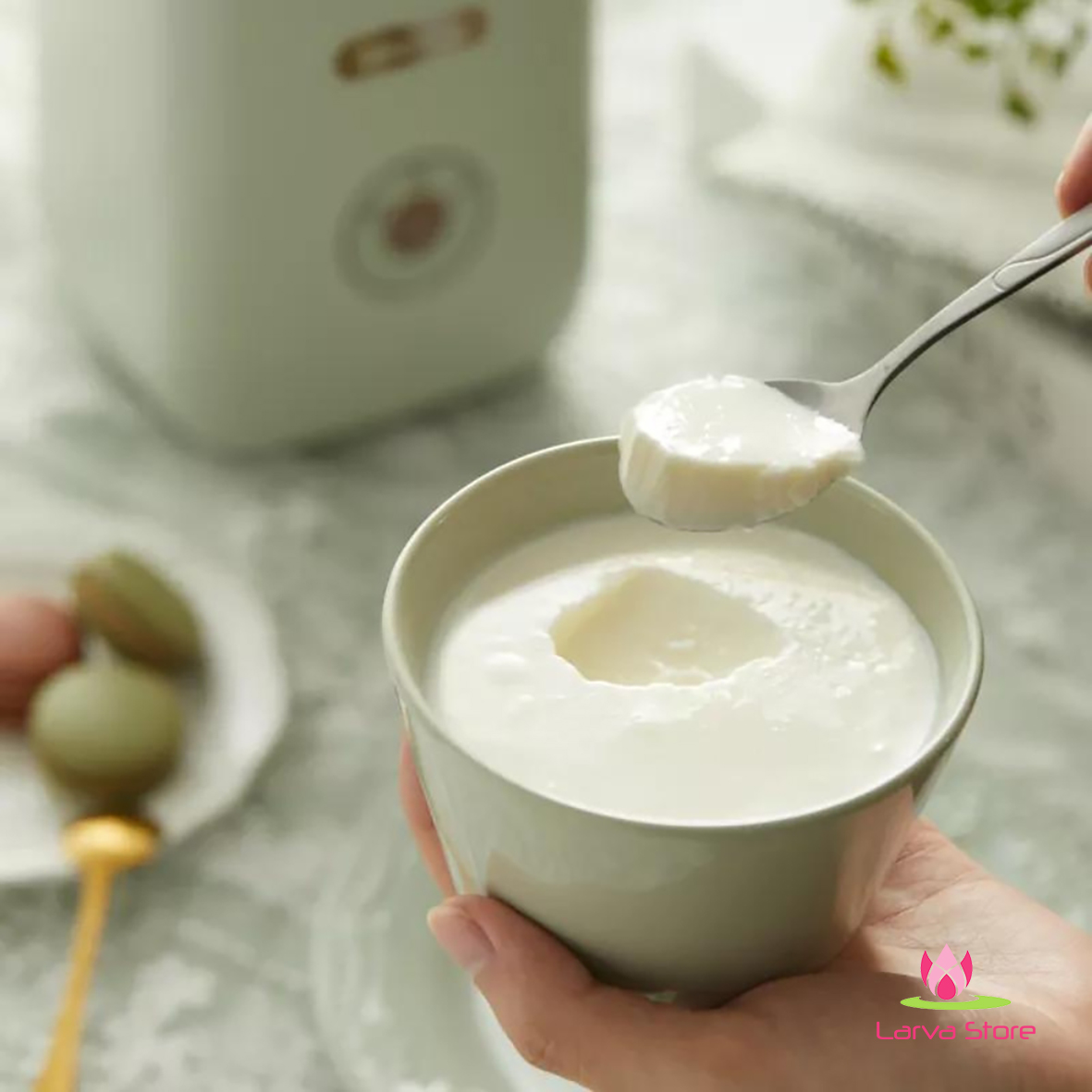 may lam sua chua Bear