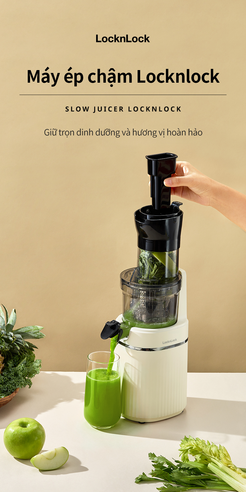 Máy ép chậm LocknLock Bianco Slow Juicer 0.8L EJJ421IVY