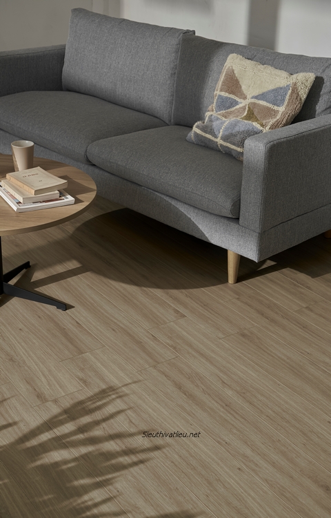 Sàn gỗ laminate An Cường vân gỗ AC-466-RL
