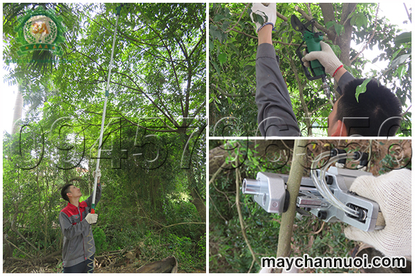 Bộ dụng cụ cắt cành cây ăn quả 3A (loại sử dụng khí nén) với nhiều tính năng nổi bật