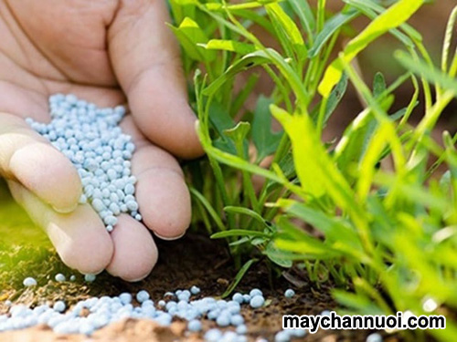 Kỹ thuật bón thúc cho từng loại cây