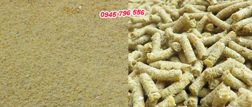 Máy ép viên công suất lớn