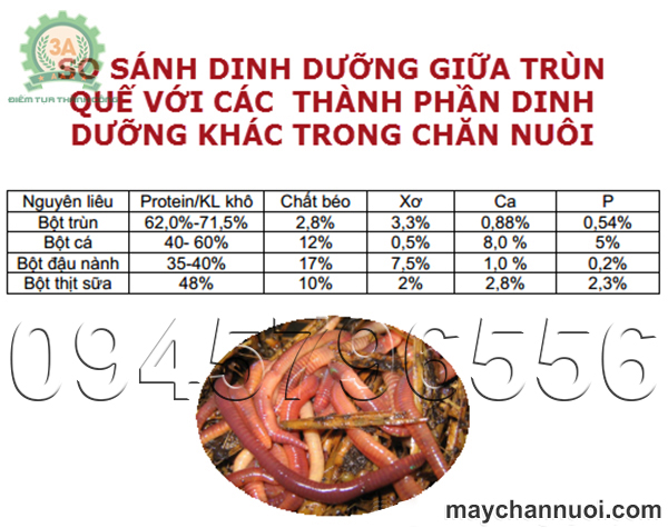 So sánh dinh dưỡng giữa các loại nguyên liệu trong chăn nuôi