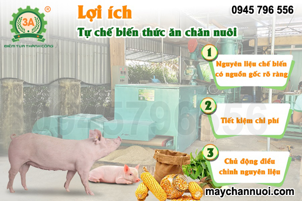 dây chuyền sản xuất cám viên chăn nuôi gia súc