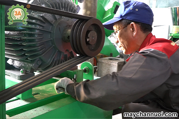 Dây chuyền sản xuất cám viên