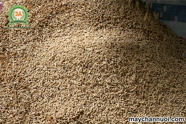 Dây chuyền sản xuất cám viên kinh doanh công suất lớn 3A500kg