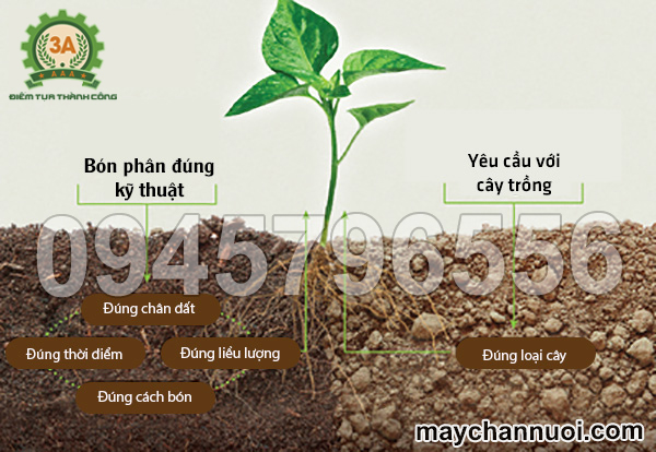 Sử dụng phân bón dạng viên nén