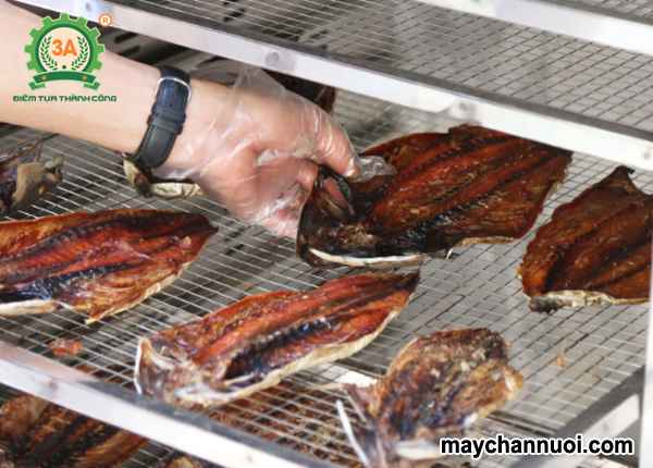 Giá máy sấy cá khô