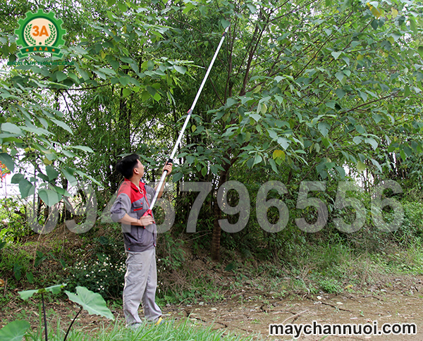 Kéo cắt cành cây trên cao