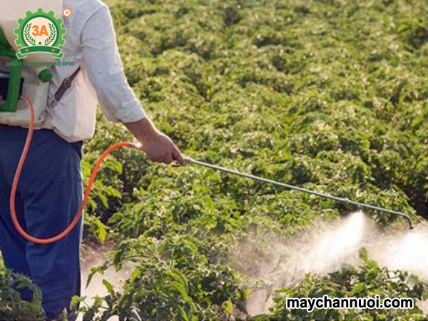 Ưu điểm của phân bón lá