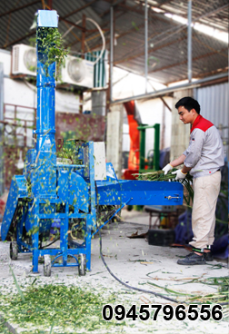 Kỹ thuật viên sử dụng máy băm cỏ