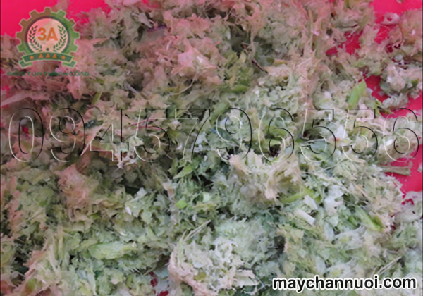 Máy nghiền thức ăn gia súc