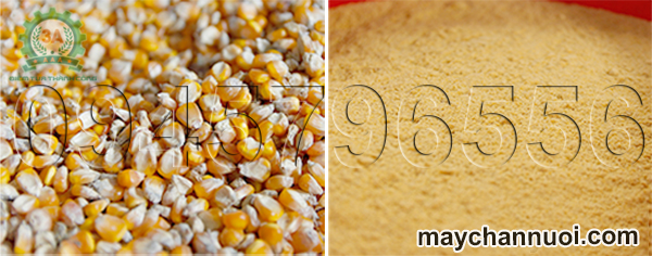 Máy nghiền cám ngô 3A