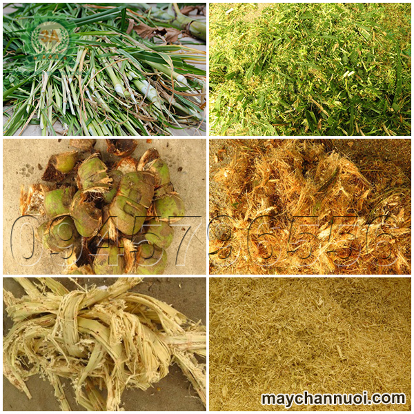 Máy băm phụ phẩm nông nghiệp