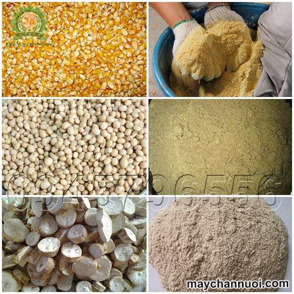 máy chế biến thức ăn chăn nuôi