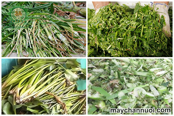 may che bien thuc an da nang