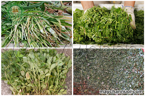 máy băm nghiền đa năng 3a