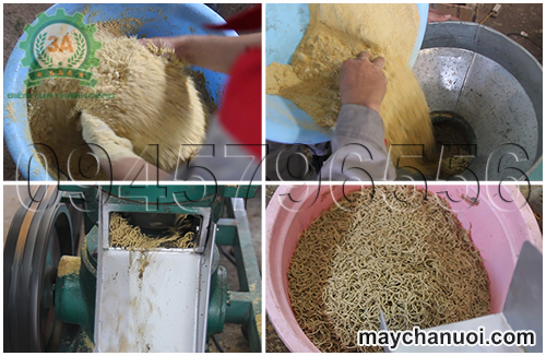 Máy đùn cám viên công suất lớn