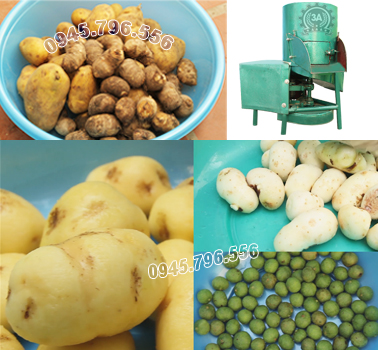 máy gọt vỏ khoai tây, khoai lang