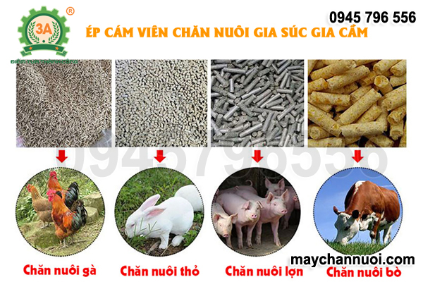 Máy nghiền ép cám viên 3A37Kw