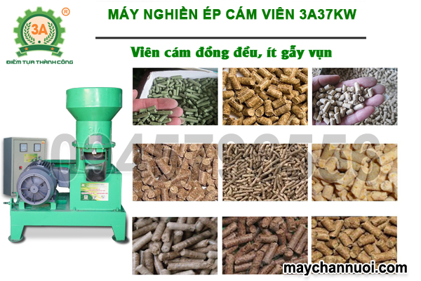 Máy nghiền ép cám viên công nghiệp