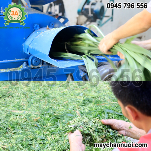 Máy nghiền ngũ cốc, băm cỏ 3a4kw