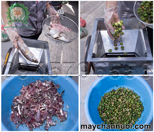 Hình ảnh nguyên liệu trước và sau khi sử dụng máy