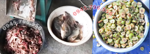 máy cắt thái cá