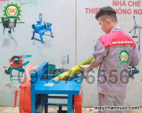 Máy thái lát cây chuối