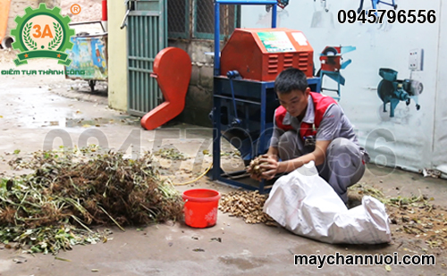 máy tuốt đậu phộng tuấn tú