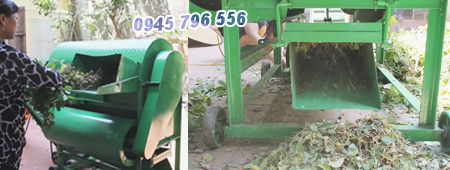 Máy tuốt đậu phộng tươi 