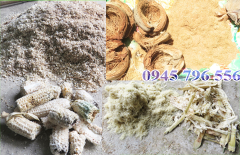 Máy xay mụn dừa