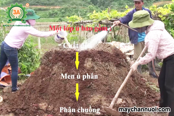 Sản xuất phân vi sinh từ phân bò