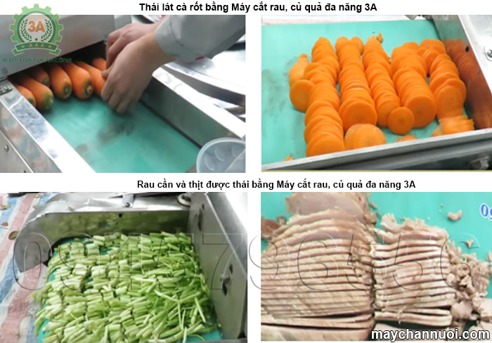 Hình ảnh nguyên liệu đầu ra máy cắt rau, củ, quả đa năng 3A (loại có băng tải)