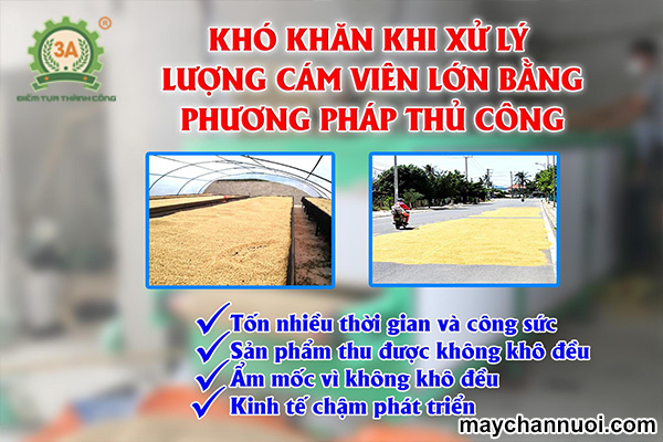 Vậy tại sao nên lựa chọn Thiết bị sấy thức ăn chăn nuôi dạng băng tải?