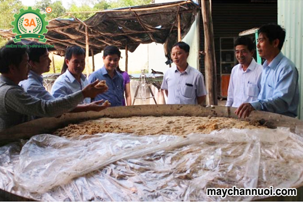 ủ thức ăn chăn nuôi bằng men vi sinh