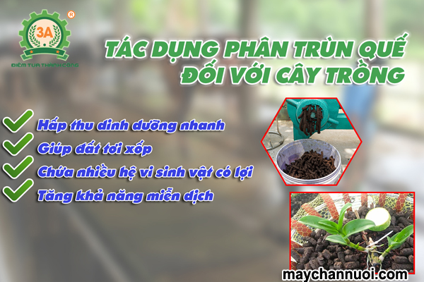 Máy làm viên phân hữu cơ