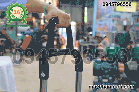 Xe đẩy hàng đi chợ inox