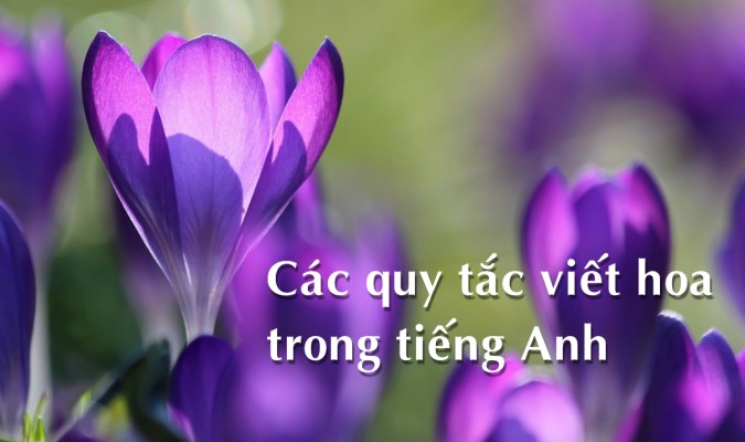 Quy tắc viết hoa trong tiếng Anh