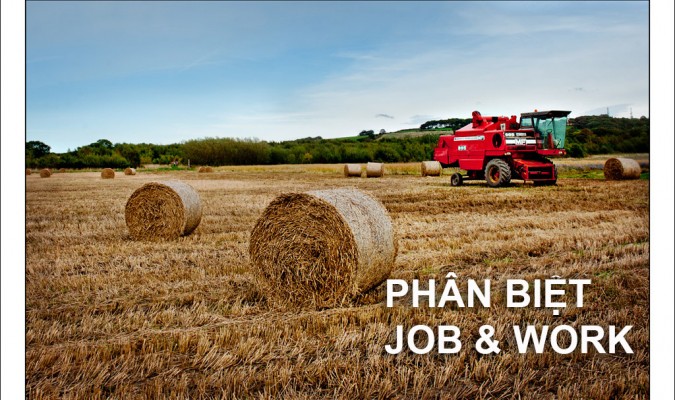 Phân biệt Job và Work