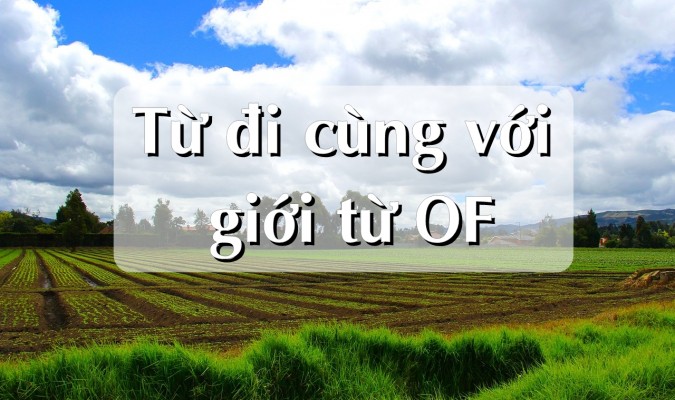 30 từ đi với giới từ OF