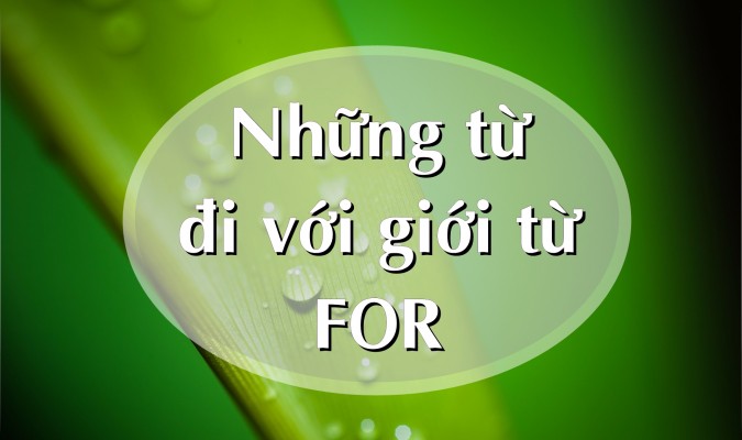 35 từ đi với giới từ FOR