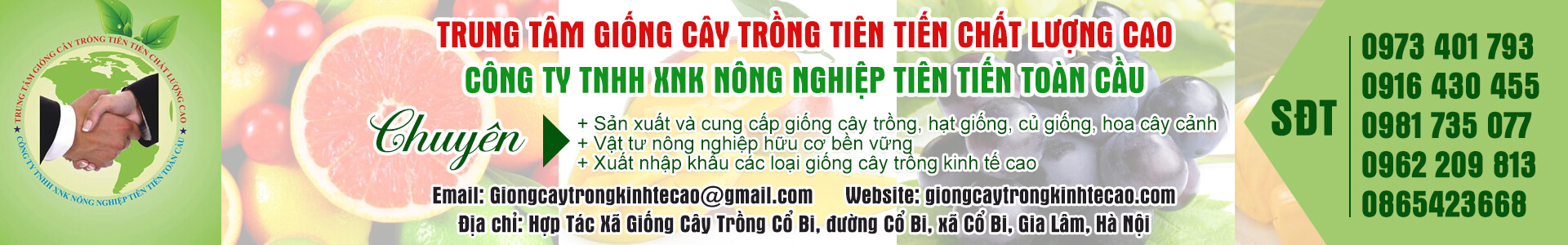 CÔNG TY TNHH XNK NÔNG NGHIỆP TIÊN TIẾN TOÀN CẦU