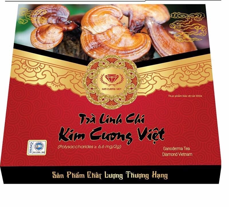 ĐI ĐỂ HỌC NHIỀU HƠN