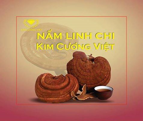 Người đàn bà đẹp