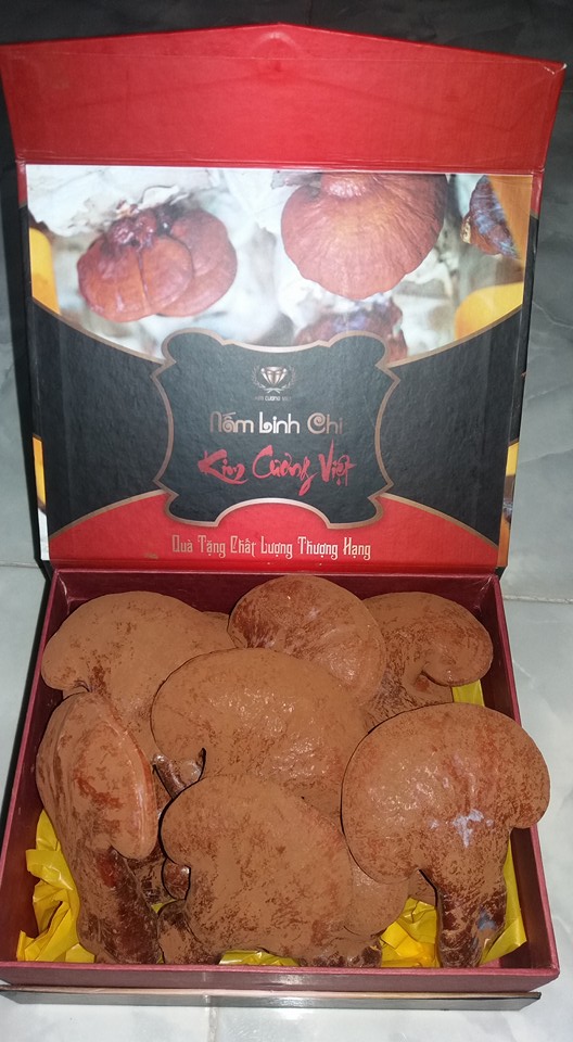 NẤM LINH CHI KIM CƯƠNG VIỆT