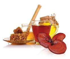 HƯỚNG DẪN SỬ DỤNG NẤM LINH CHI