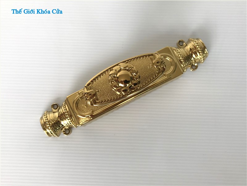 Clemon Đồng Mạ Vàng PVD Gold SSA - CR - 01 cửa đi