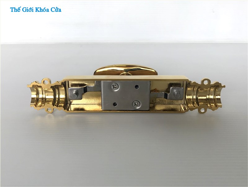 Clemon Đồng Mạ Vàng PVD Gold SSA - CR - 01 cửa đi